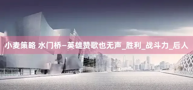 小麦策略 水门桥—英雄赞歌也无声_胜利_战斗力_后人