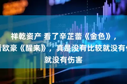 祥乾资产 看了辛芷蕾《金色》，再看欧豪《醒来》，真是没有比较就没有伤害